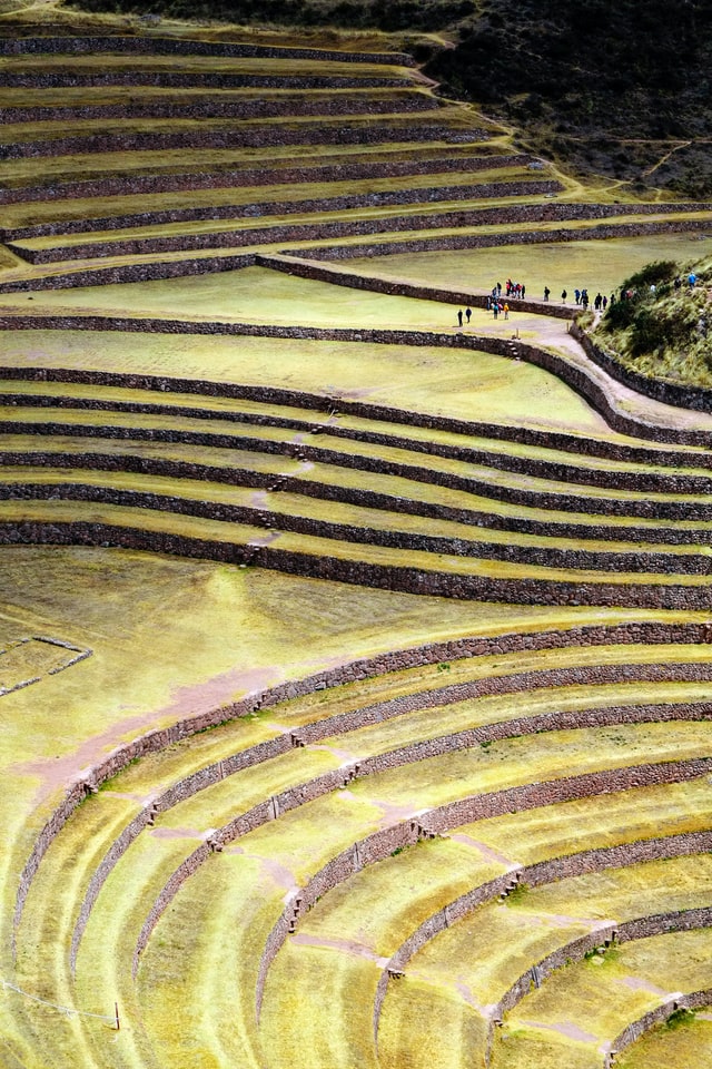 peru machu picchu terrace