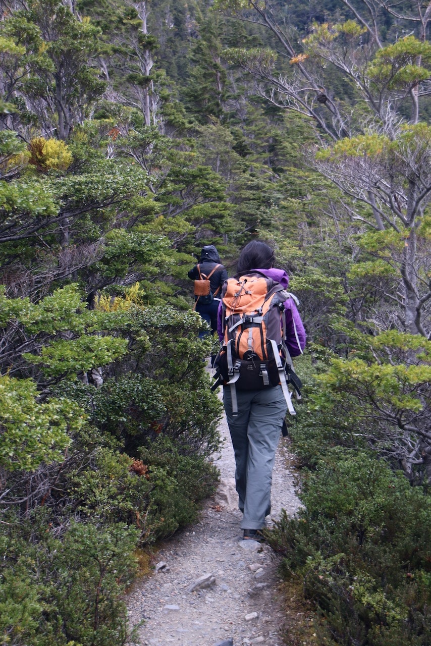 hiking in chile © dan ilves