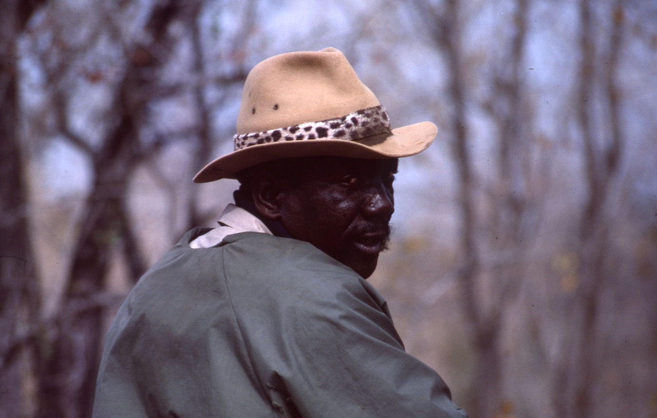 safari tracker, south africa © dan ilves