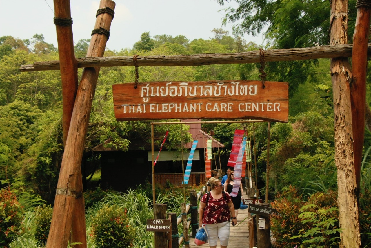 Elephant Center, Chiang Mai, Thailand © dan ilves