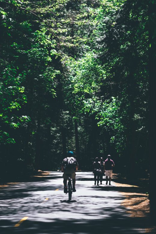 biking vacations are a great way to tour