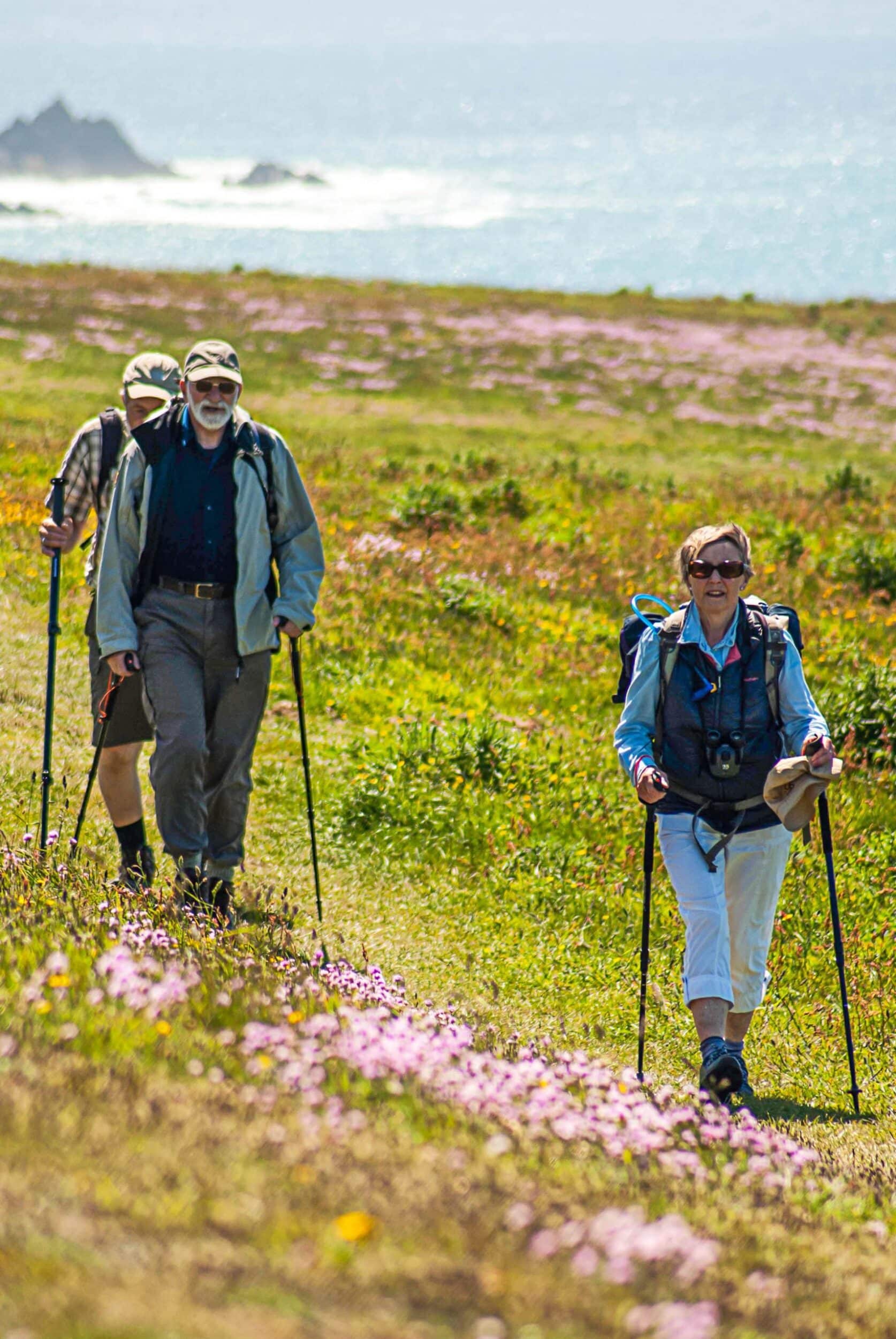 walking trips is part of Backroads offerings