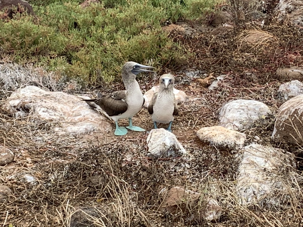 Nine Days in Ecuador A Client Review TravelStore