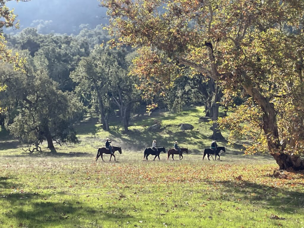 horseback riding at alisal guest ranch
