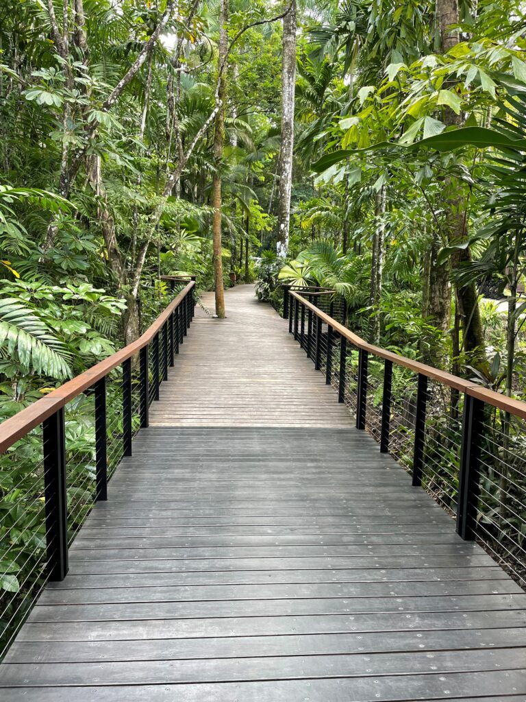 Silky Oaks Lodge in Daintree, Australia