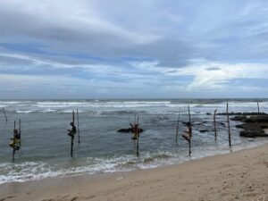 Sri Lankan Stilt fishermen