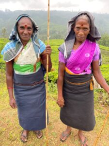 Tea plantation workers in Sri Lanka