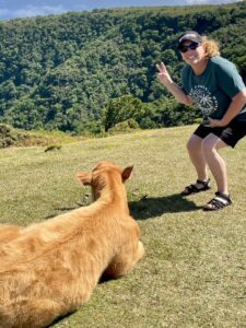 Bree Heil Madeira Bravelanders Jeep Tour Fanal Forest Cow 2