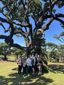 Bree Heil Madeira Bravelanders Jeep Tour Fanal Forest Group Photo