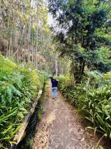 Bree Heil Madeira Levada da Serra do Faial Walk 2