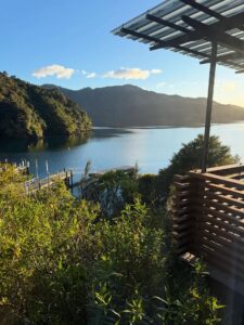 Wendy Sandridge New Zealand Bay of Many Coves 6